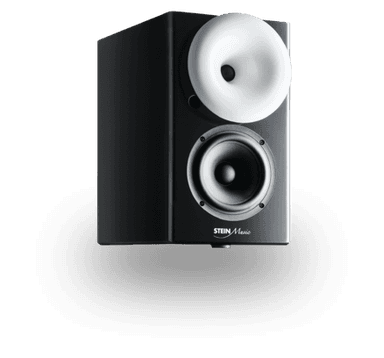 Speaker image