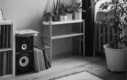 ZX9 Speaker picture